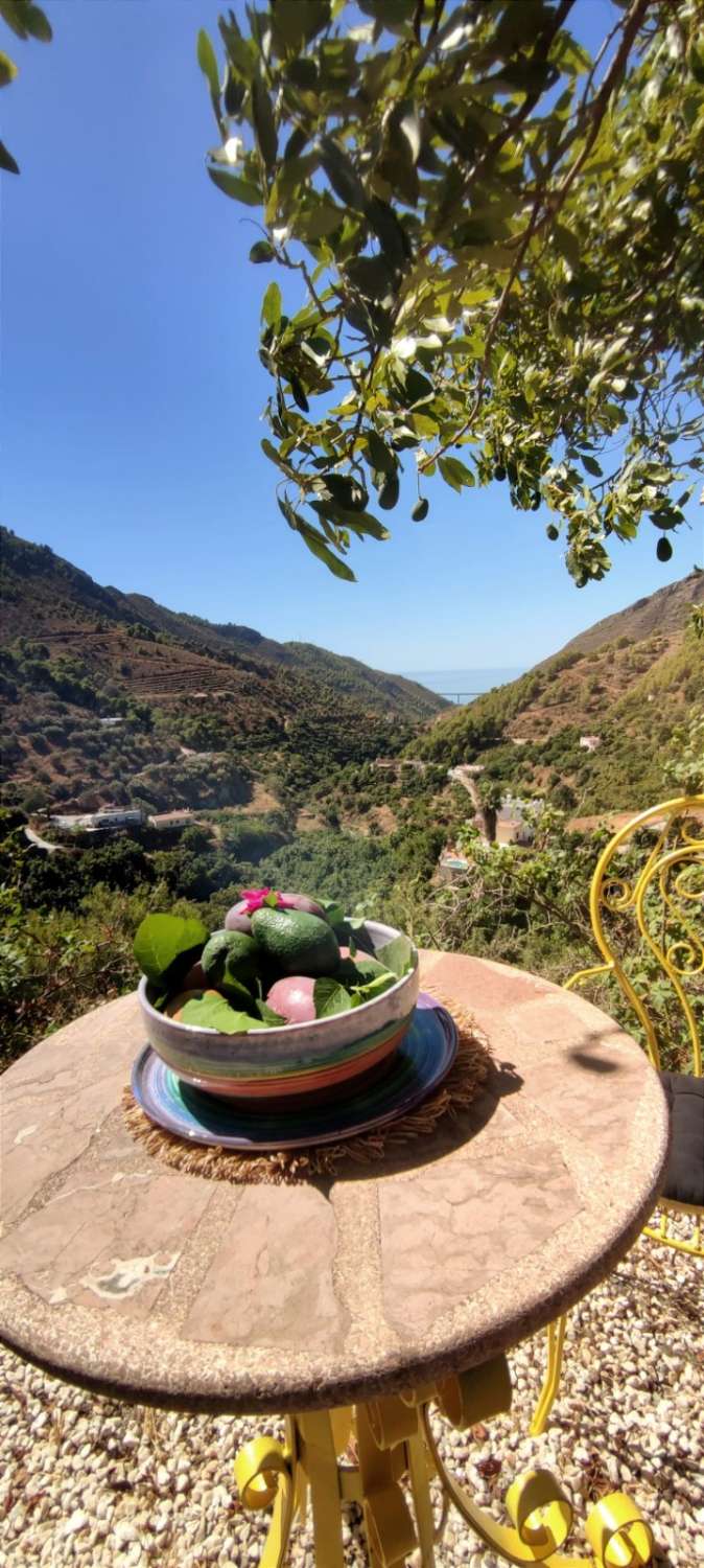 Charming country house in Maro, Nerja