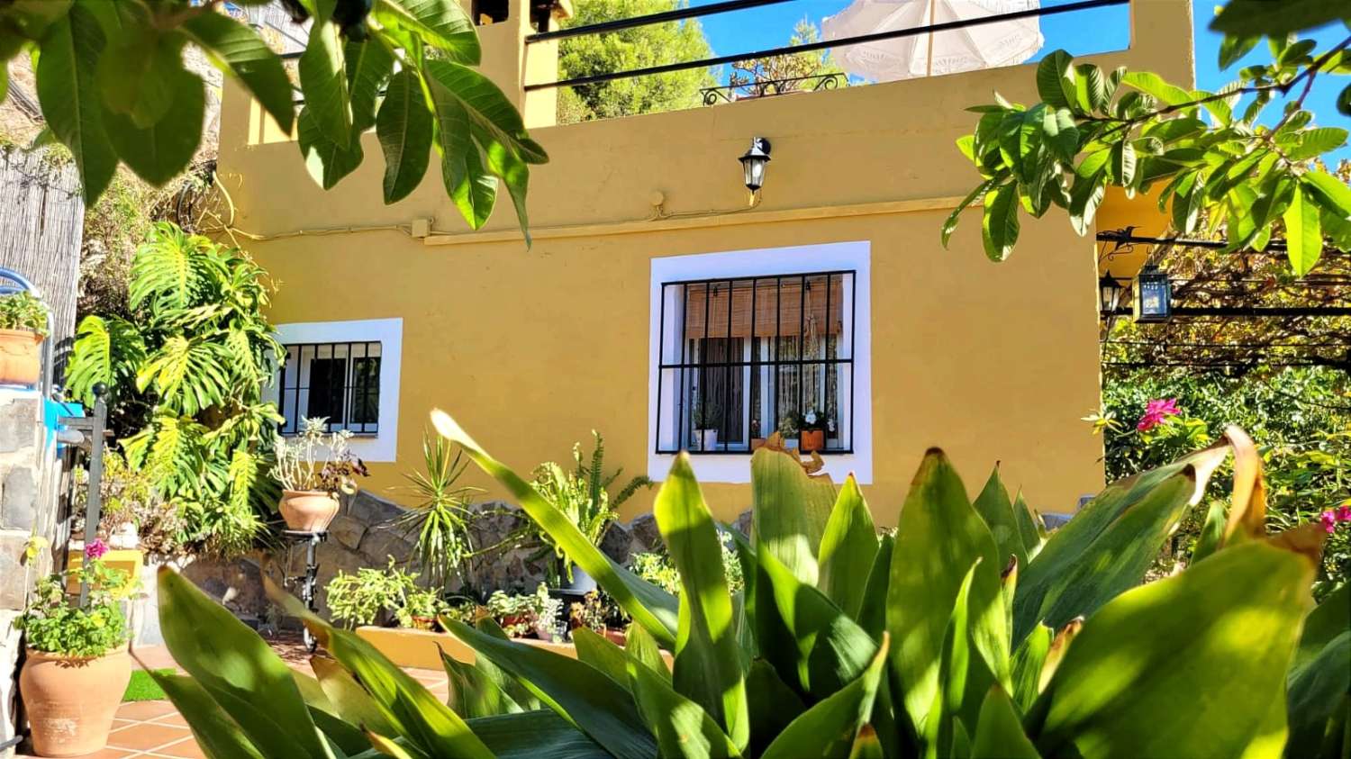 Charming country house in Maro, Nerja
