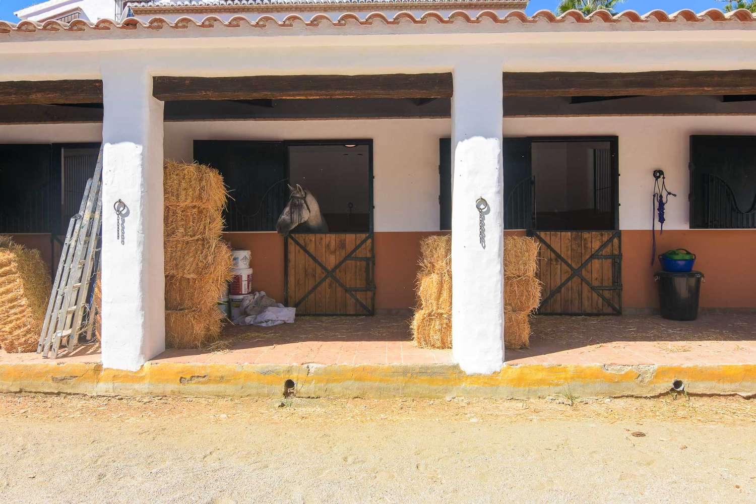 Villa en vente à Frigiliana